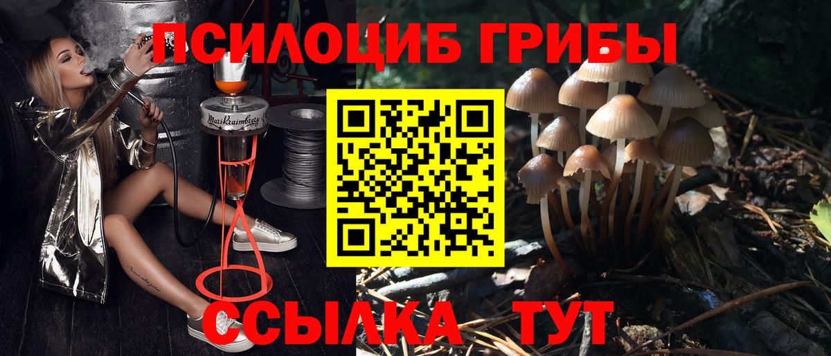 Галлюциногенные грибы мицелий  Вход с VPN  Сорочинск  Галлюциногенные грибы ЛСД 